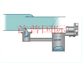 皮革機(jī)械用高壓風(fēng)機(jī)