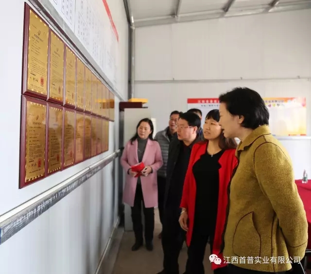 首普實(shí)業(yè)專(zhuān)利墻